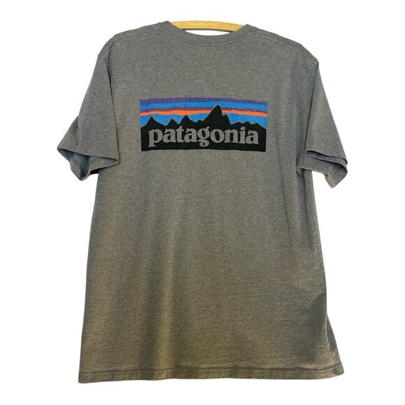 Patagonia Gray Size Large - Picture 2 of 3
